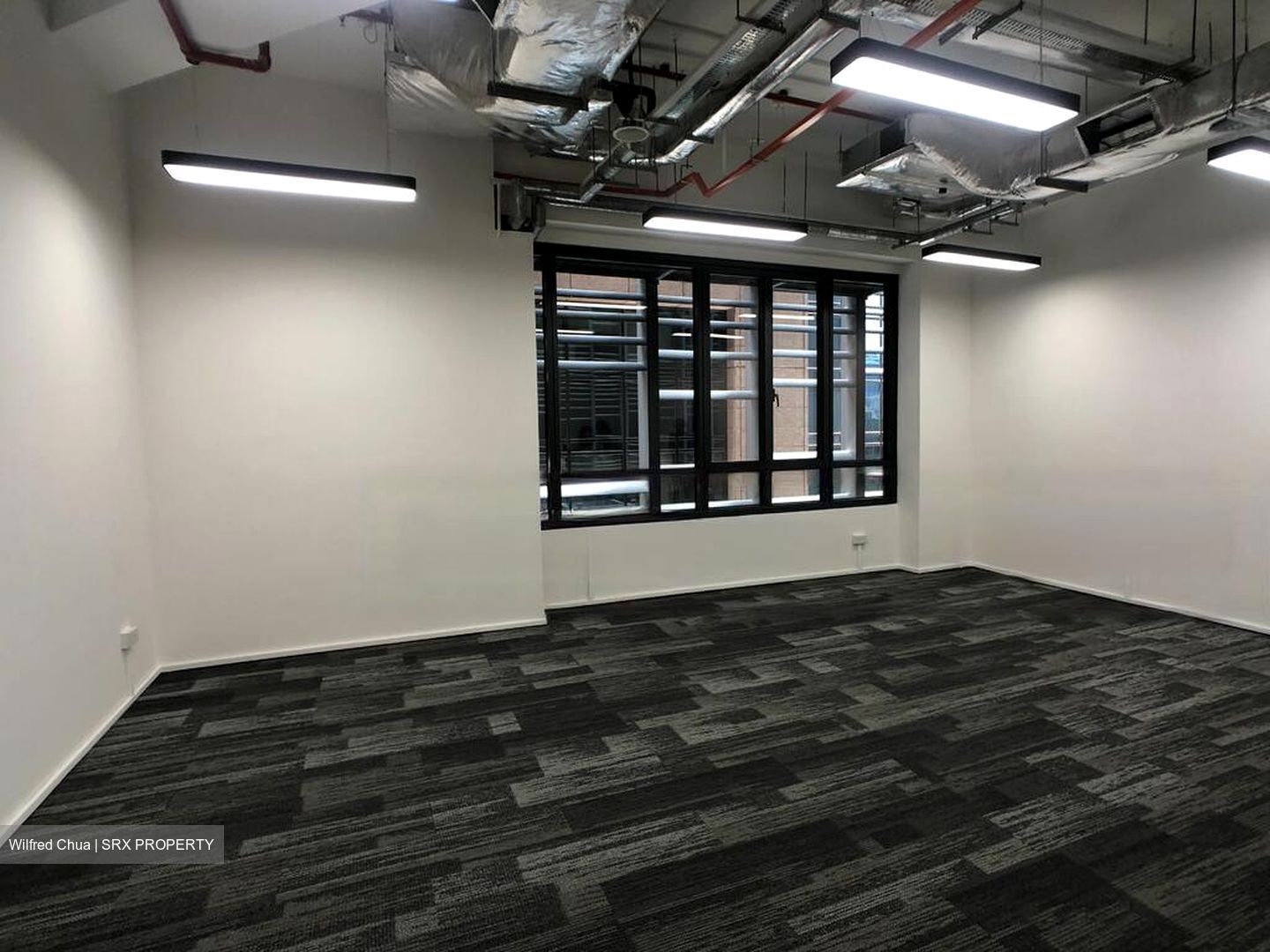 PLUS (D1), Office #565955181